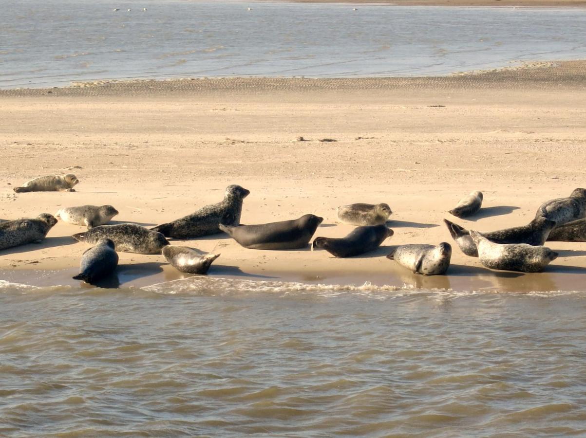 Huus Wattenmeer In Nessmersiel An Der Nordsee 多努姆 外观 照片