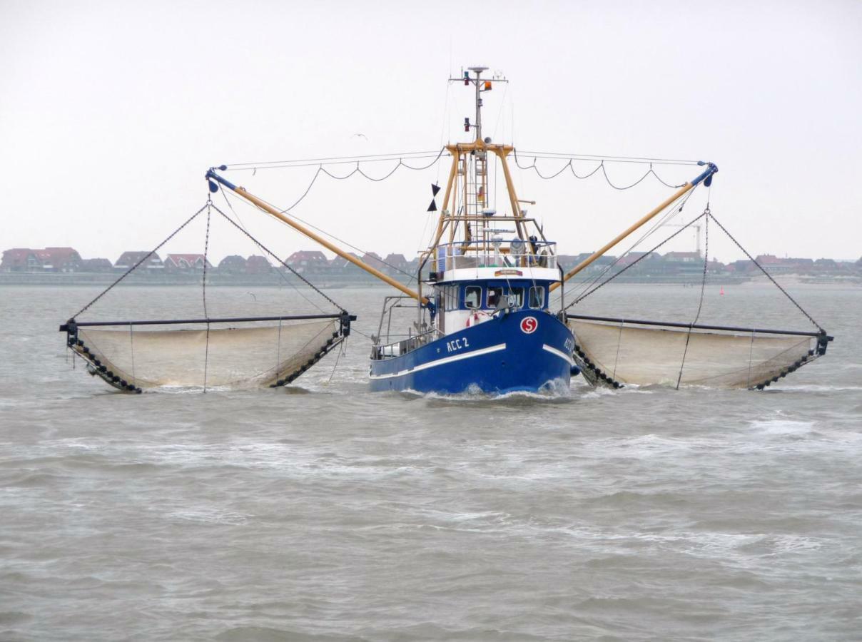 Huus Wattenmeer In Nessmersiel An Der Nordsee 多努姆 外观 照片